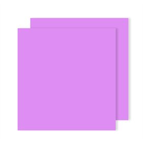 Cartolina 50x65cm Lilás 240g 25 Folhas Canson