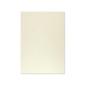 Cartolina A4 Cinzento 9 250g 125 Folhas