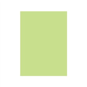 Cartolina A4 180g Verde Suave 3A 1 Folha