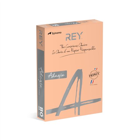 Papel Fotocopia Salmao/Beje Adagio(cd91) A4 80gr 1x500Fls