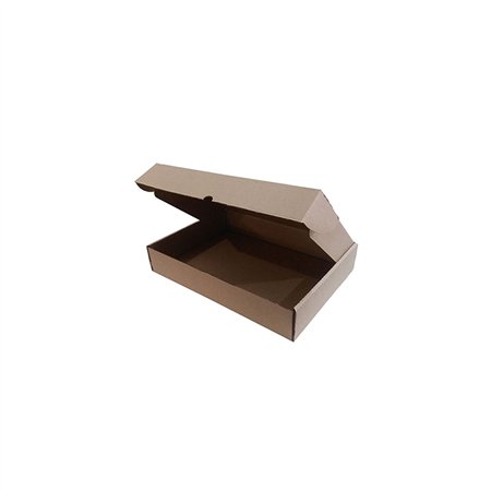 Caixa Expedição Auto-Montável 219x136x052mm Cartão Micro 1un