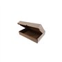 Caixa Expedição Auto-Montável 219x136x052mm Cartão Micro 1un