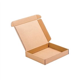 Caixa Expedição Auto-Montável 455x330x055mm Cartão Simples