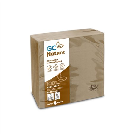 Guardanapos 40x40 2Fls Reciclados Nature P&P 100un