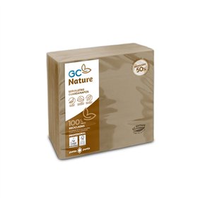 Guardanapos 33x33 2Fls Reciclados Nature P&P 50un