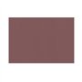 Toalhas Mesa TNT 30x40cm 55g Chocolate 250un