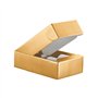 Caixa Cartão 340x185x090mm p/2 Garrafas Dourado