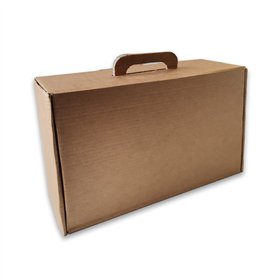 Caixa Auto-Montável 345x197x093mm com Pega Cartão Simples