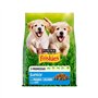 Alimento Seco para Cão Friskies Carne/Legumes Júnior 3Kg