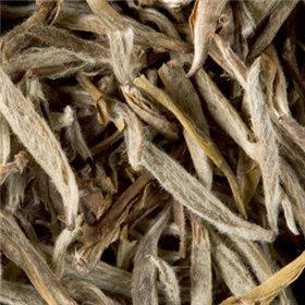 Chá Branco a Granel Jasmin Yin Zhen 500g