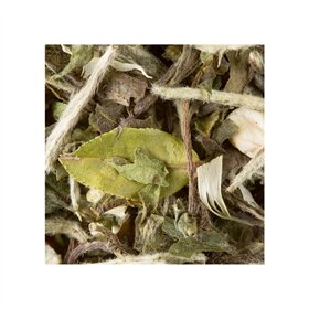 Chá Branco a Granel Great Earl Grey 250g