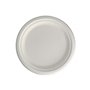 Pratos 26cm Cana de Açucar Cor Natural 50un