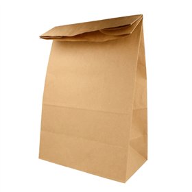 Saco sem Asas 25x15x45cm Papel Kraft 070g 1un