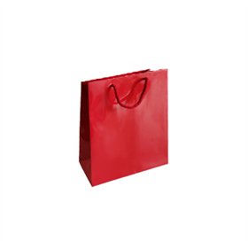 Saco 18x08x25cm Papel Couché 200g c/Asas Cordão Vermelho 1un