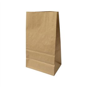 Saco sem Asas 18x12x32,5cm Papel Kraft 070g 1un