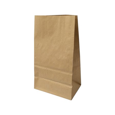 Saco sem Asas 18x12x32,5cm Papel Kraft 070g 1un