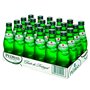 Água com Gás Pedras Salgadas 0,25L Pack 24un