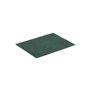 Esfregão Verde Cortado 22x15cm Vileda Professional 10un