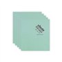 Pano Microfibra PVAmicro 38x35cm Vileda Prof Verde Pack 5un