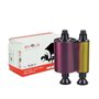 Fita Cor 5 paineis YMCKO Evolis R3011