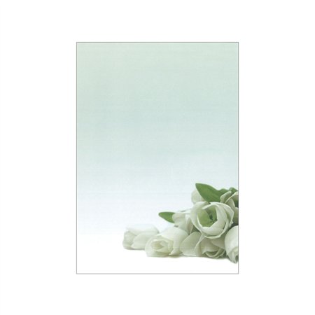 Papel Temático Flor Branca A4 90g 20 Folhas