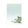 Papel Temático Flor Branca A4 90g 20 Folhas