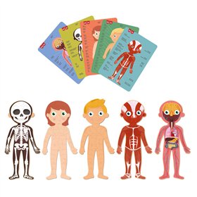 Jogo Educativo Puzzle Apli Corpo Humano 240 Peças