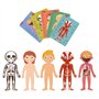 Jogo Educativo Puzzle Apli Corpo Humano 240 Peças