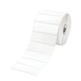 Etiquetas Térmicas Protegidas 76x26mm Rolo 8un