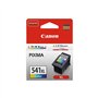Tinteiro Canon 541XL Cor 5226B001 15ml 400 Pág.