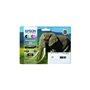 Pack Tinteiros Epson 24 6 Cores C13T24284010