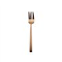 Garfo Sobremesa 19.3cm 2.5mm PARIS COBRE MATE 1un