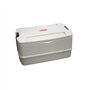 Contentor Térmico Catermax 52L Cinza