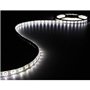 Fita LED Flexível Branco Frio 300 LEDs 12VDC 5m