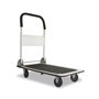 Carrinho Mão Plataforma 150Kg 74x48cm