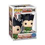 Funko Pop! Animation Hunter X Hunter Gon Freecss Shelf Sitter
