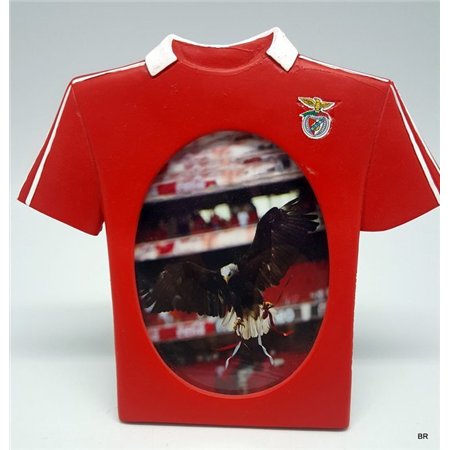 Moldura T-Shirt Benfica 10x15 cms