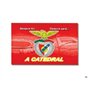 Bandeira SL Benfica 60X90cms