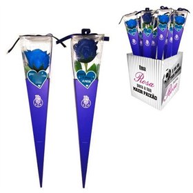 Rosas Sabonete FC Porto