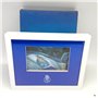 Moldura FC Porto com LED 10x15cms