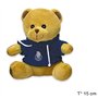 Urso FC Porto c/Sweater 15cms