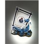 Dragão c/ Moldura (22x23cms) FCPorto