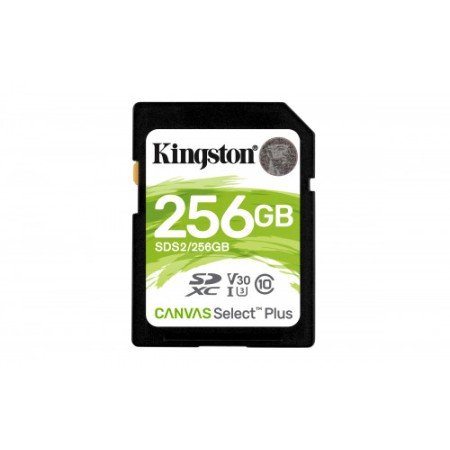 Kingston Technology Canvas Select Plus memória flash 256 GB SDXC Classe 10 UHS-I