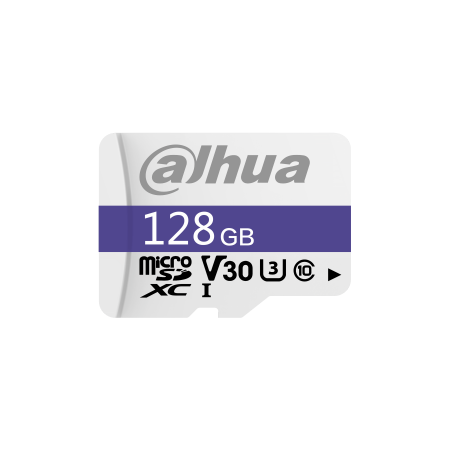 Dahua Technology C100 128 GB MicroSDXC UHS-I Classe 10