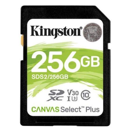 Kingston SDS2/256GB SD XC 256GB Classe 10